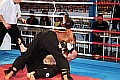 080426_6940_yesilat-milia.jpg