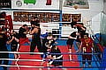 090226_25_2697_muay-thai-boran-seminar.jpg