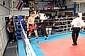 090404_3483_kaya-koznan_fight_night_koeln.jpg