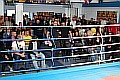 090404_3604_selcik-guemues_fight_night_koeln.jpg