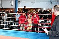 090404_3830_stark-jungwirt_fight_night_koeln.jpg