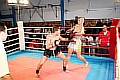 090404_3856_stark-jungwirt_fight_night_koeln.jpg