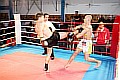 090404_3863_stark-jungwirt_fight_night_koeln.jpg