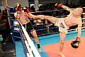 090404_3878_stark-jungwirt_fight_night_koeln.jpg