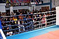 090404_4249_essadoui-eberhardt_fight_night_koeln.jpg