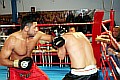 090404_4363_toprak-kilic_fight_night_koeln.jpg