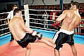 090404_4423_culfa-densiz_fight_night_koeln.jpg