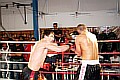 090404_4614_kotikov-borka_fight_night_koeln.jpg