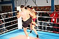 090404_4650_yesilova-fevataj_fight_night_koeln.jpg
