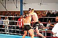 090404_4777_jankovic-yesilat_fight_night_koeln.jpg