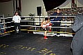 091218_0163_blakai-cellebi_k1_fight_night_ii.jpg