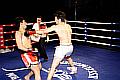 100327_0159_jollaj-tetik_monheimer-fight-night.jpg