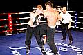 100327_0513_densiz-tomasik_monheimer-fight-night.jpg