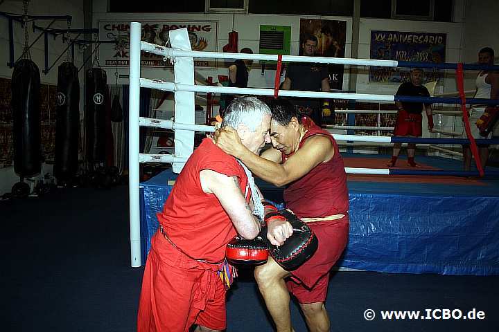 100513_0106_muay-thai-boran-seminar.jpg