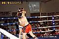 110708_0193_giantsios_elezi_k1_fightnight_3.jpg